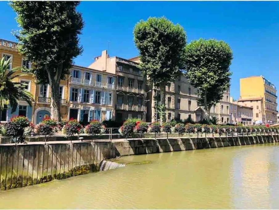 Appartamento Soleil Sucre T2 Centre Historique De Narbona Esterno foto