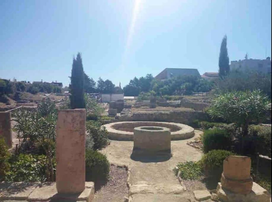 Appartamento Soleil Sucre T2 Centre Historique De Narbona Esterno foto
