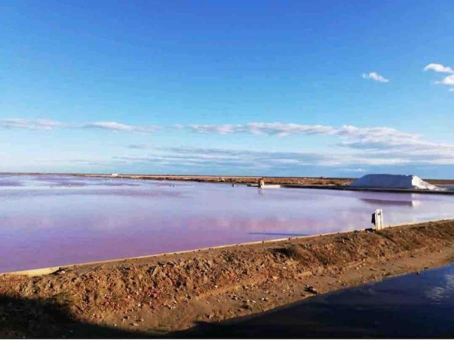 Appartamento Soleil Sucre T2 Centre Historique De Narbona Esterno foto